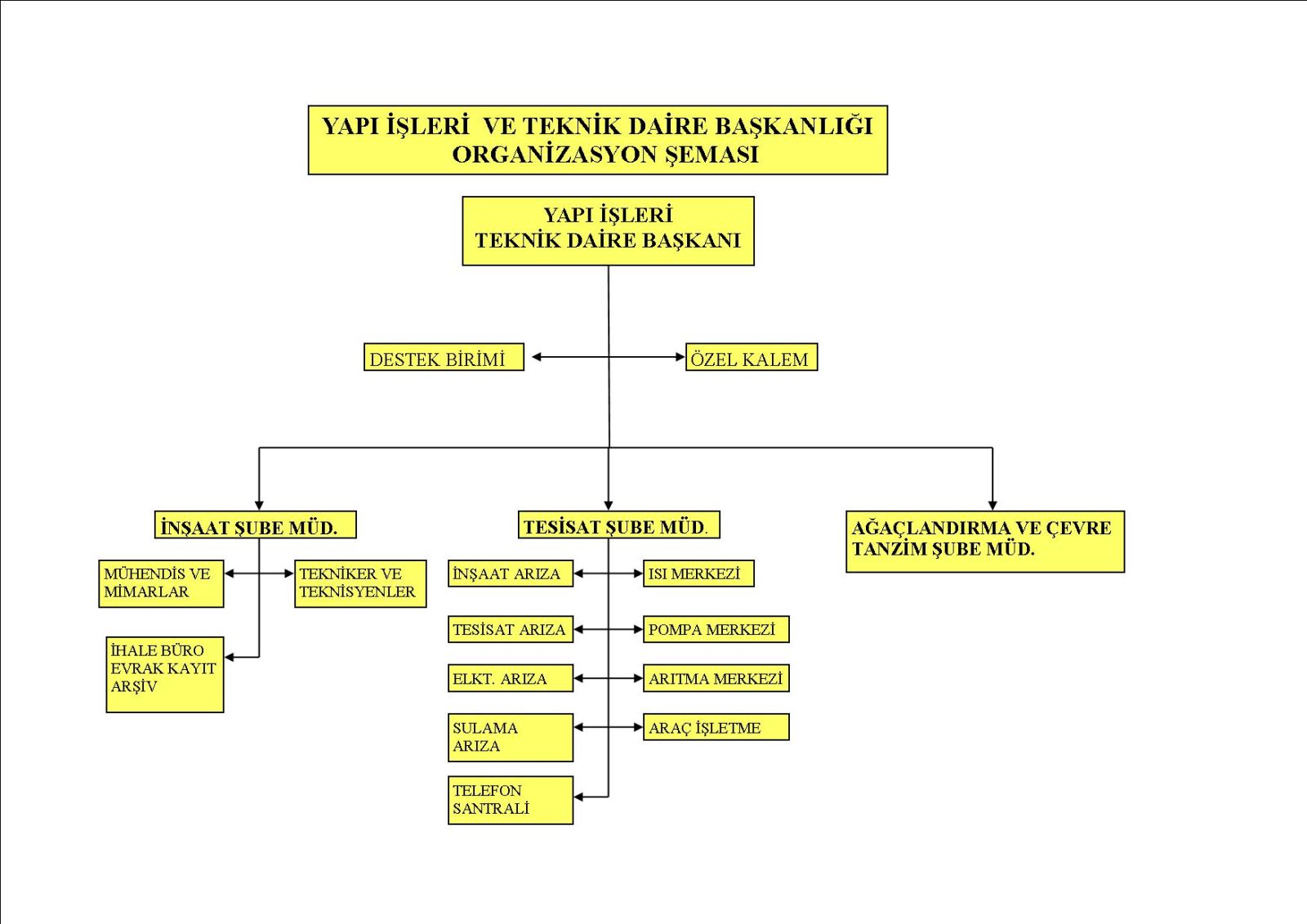 c:\users\pasha\desktop\organizasyon şemasi son(1).jpg