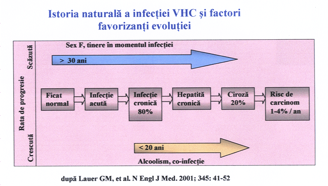 vhc evol infectiei spre cancer si factori fav