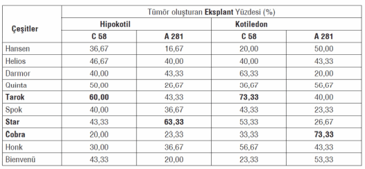 tubitak-proje