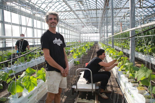 tony (debout) s\'occupe des fruits et légumes de la serre lufa de montréal depuis deux ans.