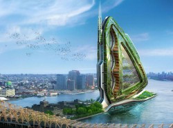 dragonfly-ferme-verticale-agriculture-biologique-urbaine-callebaut-new-york