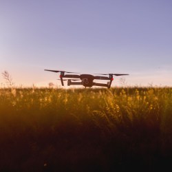 the dron flies over the field