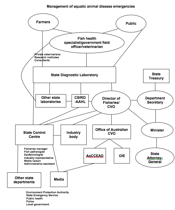 management of aquatic animal disease emergencies. the public or farmers notify a fish health specialist or veterinarian. they then contact the state diagnostic laboratory (or may go direct to other state laboratories). if the disease required further investigation it goes to other specialist state laboratories or to aahl. the state lab also notifies the state cvo. aahl and the cvo will then liaise with a state control centre, industry and the australian cvo. the australian cvo will convene the aqccead or notify the oie if required. the state control centre and the aqccead will prepare material for the media as required. the state cvo or director of fisheries will notify other sectors of the state government (treasury, department head, minister, attorney general as required) 