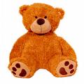 http://tbn3.google.com/images?q=tbn:3pn_fo7znncyam:http://www.arenaflowers.com/product_image/large/1259-cuddly_bear.jpg