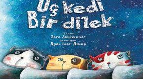 açıklama: üç kedi bir dilek ile ilgili görsel sonucu