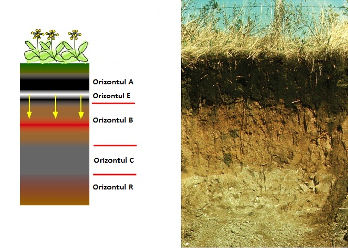 orizonturi de sol