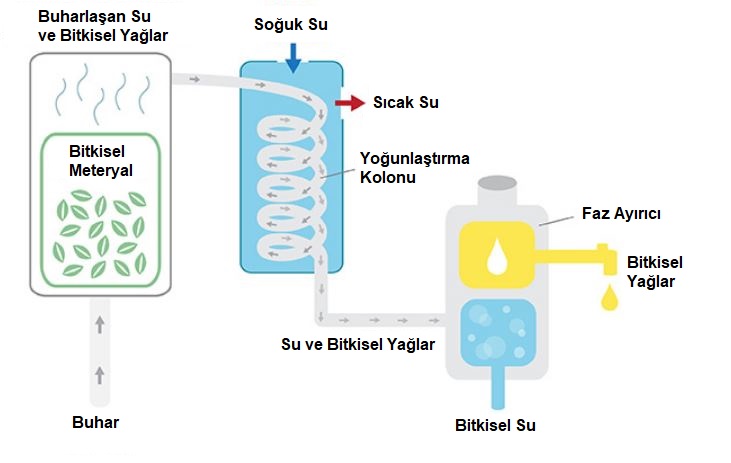 damıtma