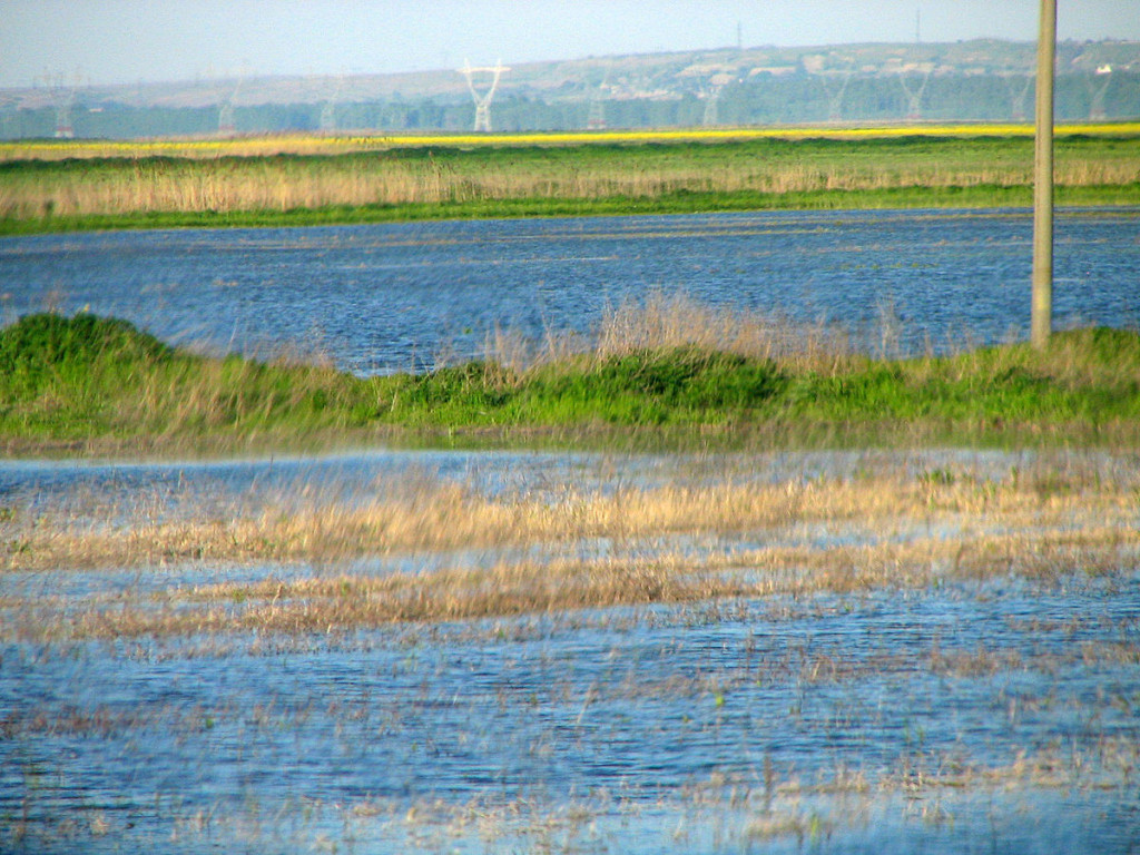 1200px-balta_ialomiţei_flooded_02_bgiu