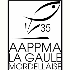 logo mordelles