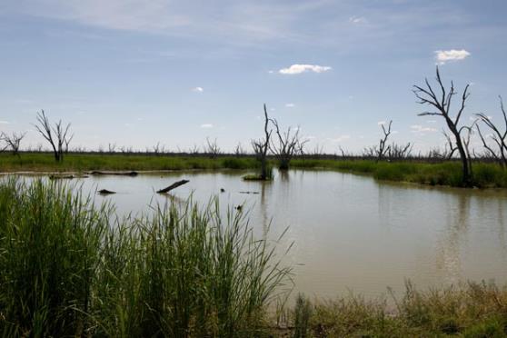 located to the west of moree in nsw. taken april 2010 by arthur mostead (image 16393)