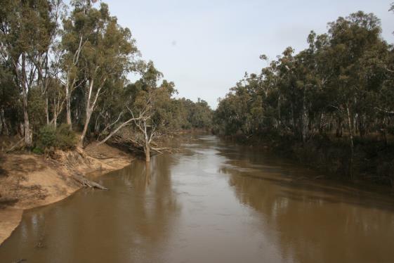 goulburn river at yambuna 25 jul 2013, photo by janet pritchard mdba