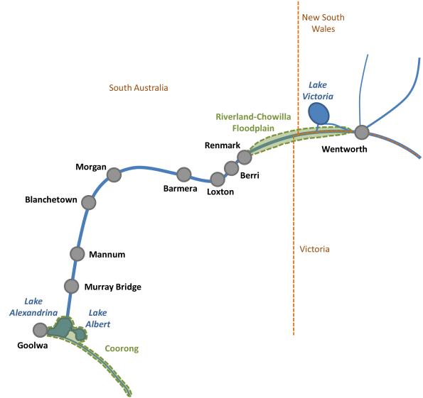 lake victoria is below wentworth, and the section between wentworth and renmark is the riverland-chowilla floodplain. various towns down the river are depicted, as is lakes alexandrina and albert and the coorong above goolwa.