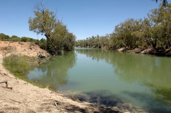 j:\working documents and drafts\communications\production\sylvester\cms map info\misc\images for cms\lower darling\04652 lower darling river.jpg