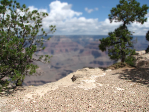 d:\rаsmlаr\rasmlar\grand-canyon.jpg