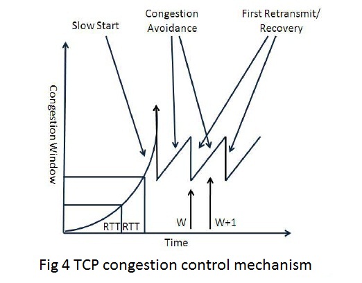 fig1.jpg