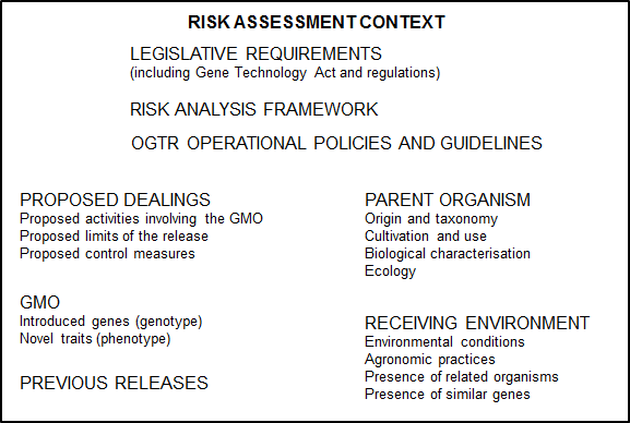 shows the factors which form the risk context for writing this document.