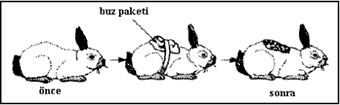 http://biltek.tubitak.gov.tr/merak_ettikleriniz/himalayatavsan1.gif