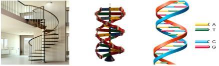 dna\'nın yapısı