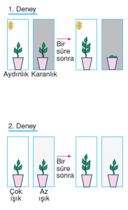 http://www.bilgibirikimi.net/wp-content/aktarilan/2012-03-30_1544-183x300.png