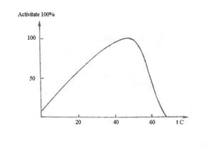 http://www.scritube.com/files/biologie/238_poze/image041.jpg