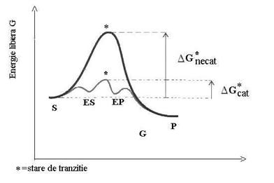 http://www.scritube.com/files/biologie/238_poze/image045.jpg