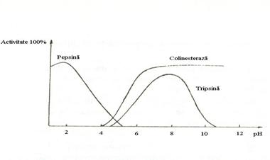 http://www.scritube.com/files/biologie/238_poze/image043.jpg