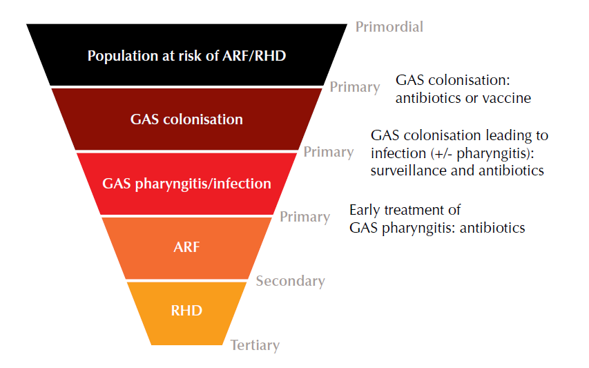 figure 2 graphic displays an upside-down pyramid with 5 horizontal segments from largest to smallest: 1.population at risk of arf and rhd, 2 gas colonisation, 3 gas pharyngitis/ infection, 4 arf and 5 rhd. this upside-down pyramid symbolises the reducing size of the population targeted by primordial, primary, secondary and tertiary preventative strategies.