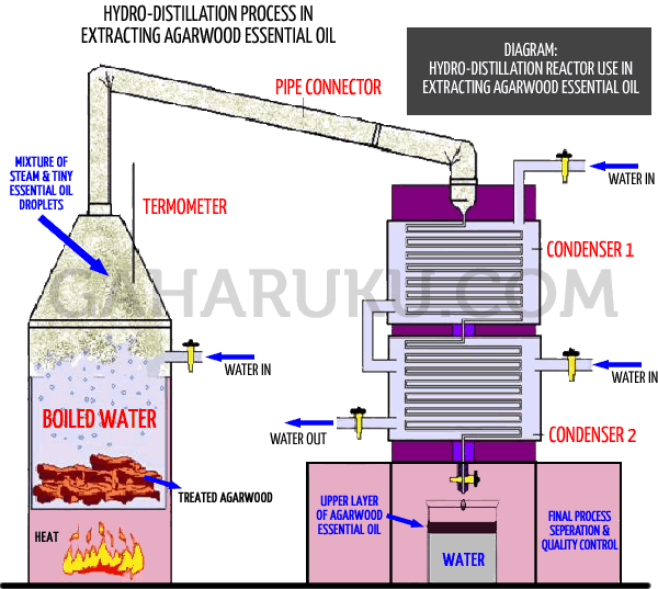 penyulingan-minyak pelarut.png