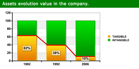intangible assets evolution value in the company.
