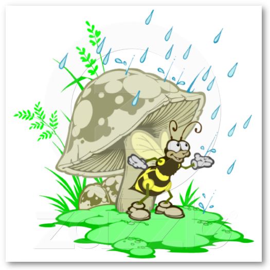 bee_hiding_from_rain_under_mushroom_poster-p228543690457392335856b5_525