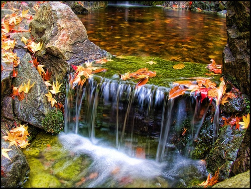 http://3.bp.blogspot.com/--hoj-tb3q9m/ukup31oymfi/aaaaaaaaplc/3yd-sd1x36g/s1600/autumn_photography13.jpg