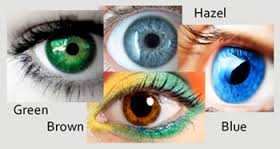 image result for colours of eye