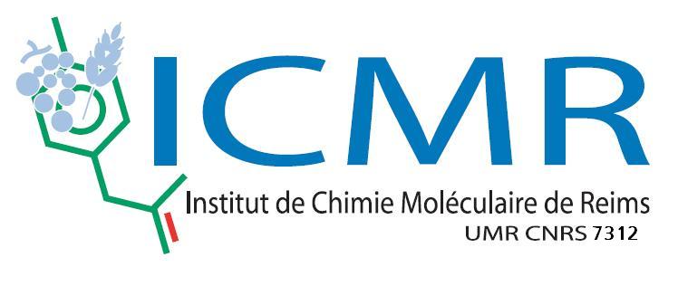 logo-icmr-umr7312.jpg