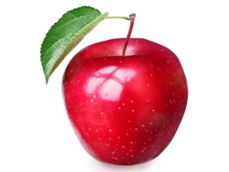 image result for apple fruit