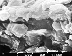 https://upload.wikimedia.org/wikipedia/commons/thumb/e/e7/clay_magnified.jpg/250px-clay_magnified.jpg