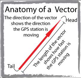 0_anatomyofvector.jpg