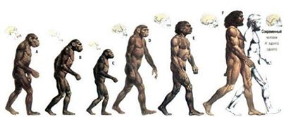 a provenit omul de la maimuta? conform ipotezei evolutioniste, din mamifer insectivor de marimea unui sobolan, sau dezvoltat prosimienii (asemanator lemurienilor), de la care au aparut toate primatele (pana in prezent, nu avem un model credibil al evolutiei primatelor). omul se presupune ca ar fi provenit de la stramosii maimutelor: paros, de o statura medie, cu un volum al creerului mic si cu o durata de viata moderata. acesti stramosi umanoizi (australopithecus, sinanthropus, omul de neanderthal si altii), pe calea fabricarii si utilizarii instrumentelor de munca, stapinind mersul vertical, dezvoltind limba, treptat au devenit oameni adevarati. cel mai renumit desen, care putem sa-l vedem in manuale scolare si in diferite reviste pe care este reprezentat unul din treptele filogenetice, ilustrind evolutia omului de la o fiinta asemanatoare maimutei. pentru prima data aceasta idee a fost propusa de profesorul universitatii din berkeley situata in california clarc hovell in cartea “omul vechi” (anul 1965). un desen asemanator gasim si pe coperta unei carti americane “originea speciilor” publicata in anul 1998. insa acest desen ca si celelalte asemanatoare lui, nu reprezinta altceva decat fantezia artistului, doarece insusi autorul (c. hovell) scria: \'\'multe, din fiintele prezentate pe acest desen au fost create in baza a catorva fragmente de maxilar, probabil a catorva dinti, prin urmare reprezinta rezultatul unor presupuneri rezonabile \'\'. cu toate acestea, evolutionistii insista cu incapatinare: omul a provenit de la maimuta, ca urmare a unor efecte secundare intimplatoare si fara un scop anume in rezultatul proceselor naturale. insa, pana in prezent nu exista nici o forma de trecere credibila care sa fi evoluat, din totalitatea numarului mare de exemple prezentate de ipoteza evolutionista. de exemplu, australopithecus – maimuta sudica (acestui tip se atribuie si celebra „lucy”) nu reprezinta o forma de trecere si nu ocupa o stare intermediara intre antropoid si om. el se deosebeste mai mult decat antropoidul fata de om. la australopithecus si varietatile lui homo habilis lipsesc chiar rudimentele tipice trasaturilor omului (marimea si structura craniului, mersul vertical, crearea instrumentelor). nu este forma de trecere nici omul de neanderthal, asa cum se credea mai inainte. el dupa parametrii sai morfologici, practic nu se diferentiaza de omul modern, iar dupa forma existentei sale este net superior antropoidului. descoperirile recente ale scoicilor de mare, contin pigmenti care se pare ca se foloseau in scopuri cosmetice, de asemenea in calitate de infrumusetare, dezleaga miful despre neanderthali ca fiinte inferioare omului (salbatici). parerea antropologilor moderni despre australopithecus — reprezinta specie de maimuta disparuta, iar neanderthal (homo neanderthalensis) — una din rase a omului modern, ca si homo ergaster, homo erectus, homo heidelbergensis. totusi, unii savanti nu considera pe neanderthali rasa umana: ei genetic nu ne sunt rude, ramasitele lor se gasesc in acelasi strat cultural, pierderea parului gros (presupus in procesul evolutiei) nu e logica, fiindca micsoreaza sansa de supravetuire in conditiile nefavorabile ale vremii. insa ultimile descoperiri ale paleontologilor arata ca homo neanderthalensis, homo erectus si нomo sapiens se hraneau cu mancare preparata la foc.