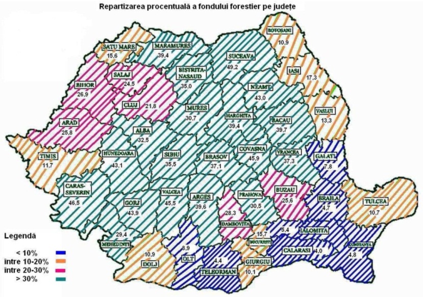 repartizarea procentuala a fondului forestier pe judete