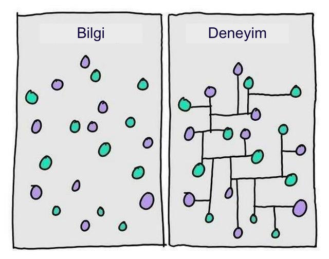 bilgi-deneyim