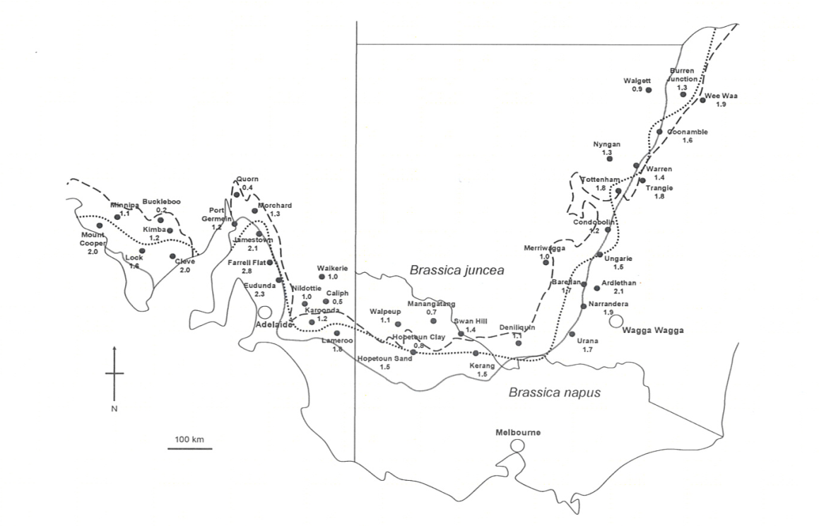 areas in australia where brassica juncea could potentially be grown in preference to canola.