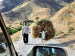 a man witn a donkey on the way to sentob