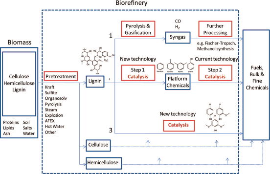 figure 4.4 - lignocellulosic biorefinery scheme with an emphasis on the lignin stream
