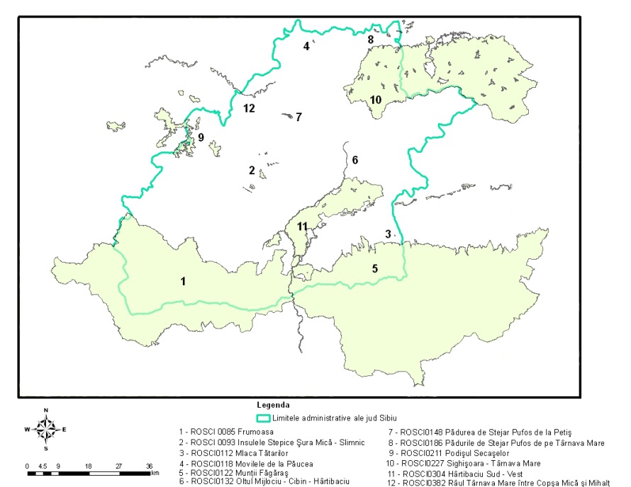 descriere: sci sibiu_f