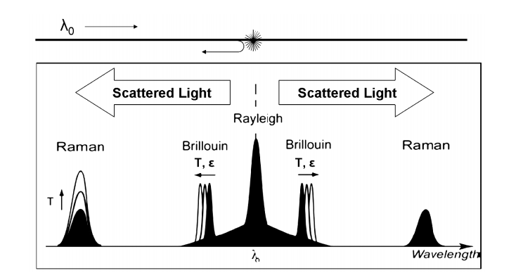 fig4