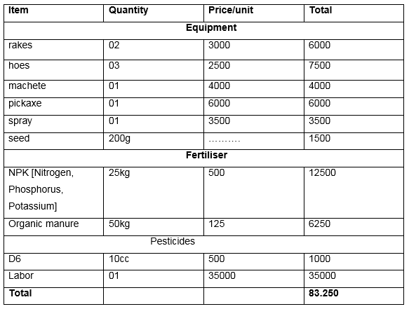 http://www.fao.org/fsnforum/sites/default/files/files/153_youth_africa/table_hamza.png