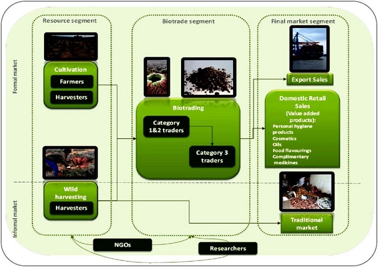 a close up of a device description generated with high confidence