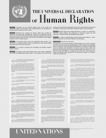 the universal declaration of human rights has inspired a number of other human rights laws and treaties throughout the world.