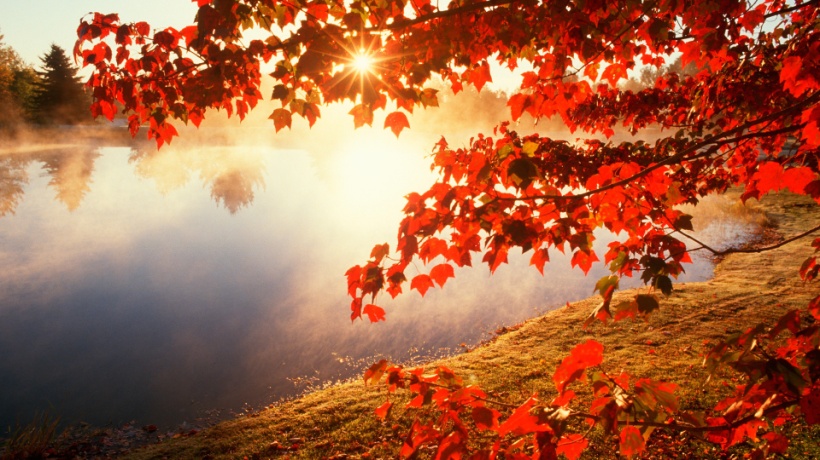 http://miriadna.com/desctopwalls/images/max/red-autumn-morning.jpg