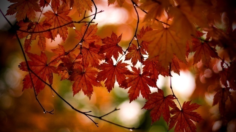 http://picturestack.com/859/581/uvkautumn033ds.png