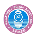 logo_nef_efmed_son2